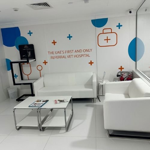 Veterinary clinic interior renovation completed by an interior renovation company in Dubai