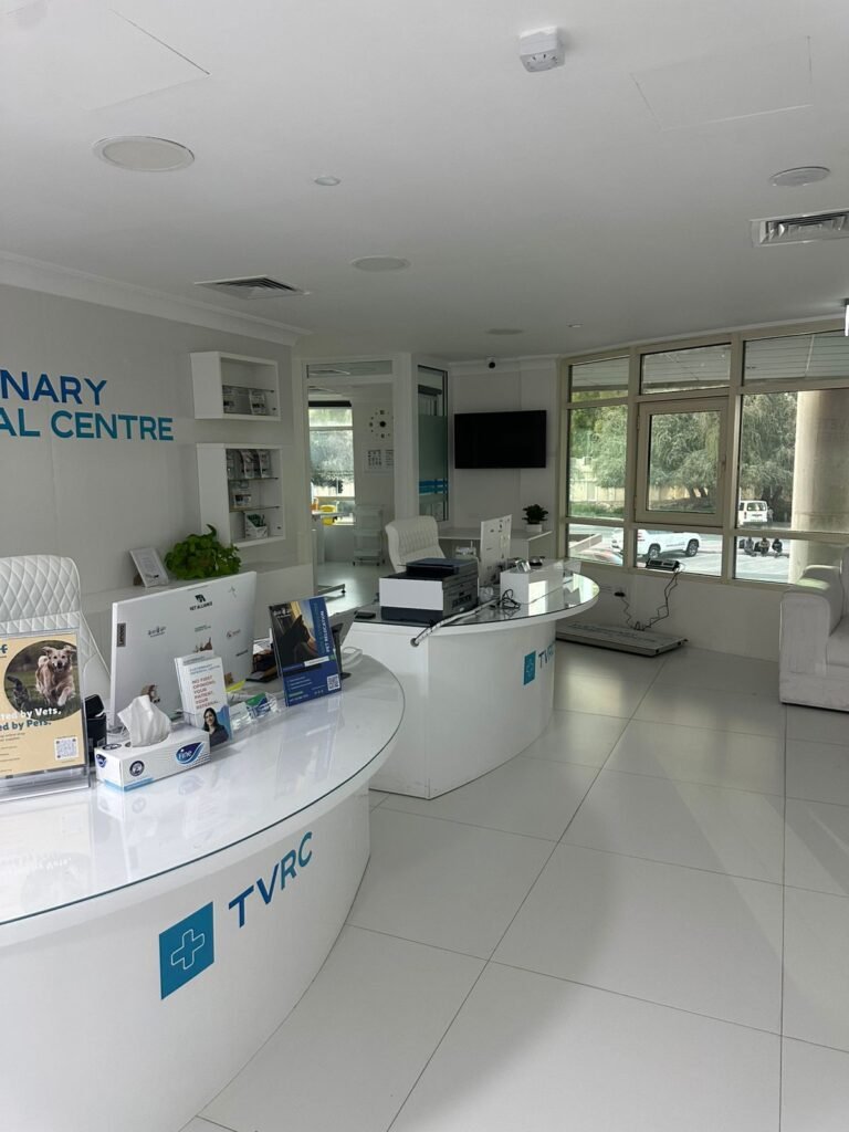 Clinic fit out cost in Dubai 2026 with project checklist and budgeting factors